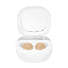 TM 1120 Mini ITE Hearing Aids