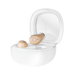 TM 1120 Mini ITE Hearing Aids