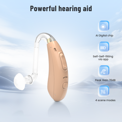 TM5007 Hearing Aid