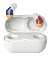 TM6116 Hearing Aids