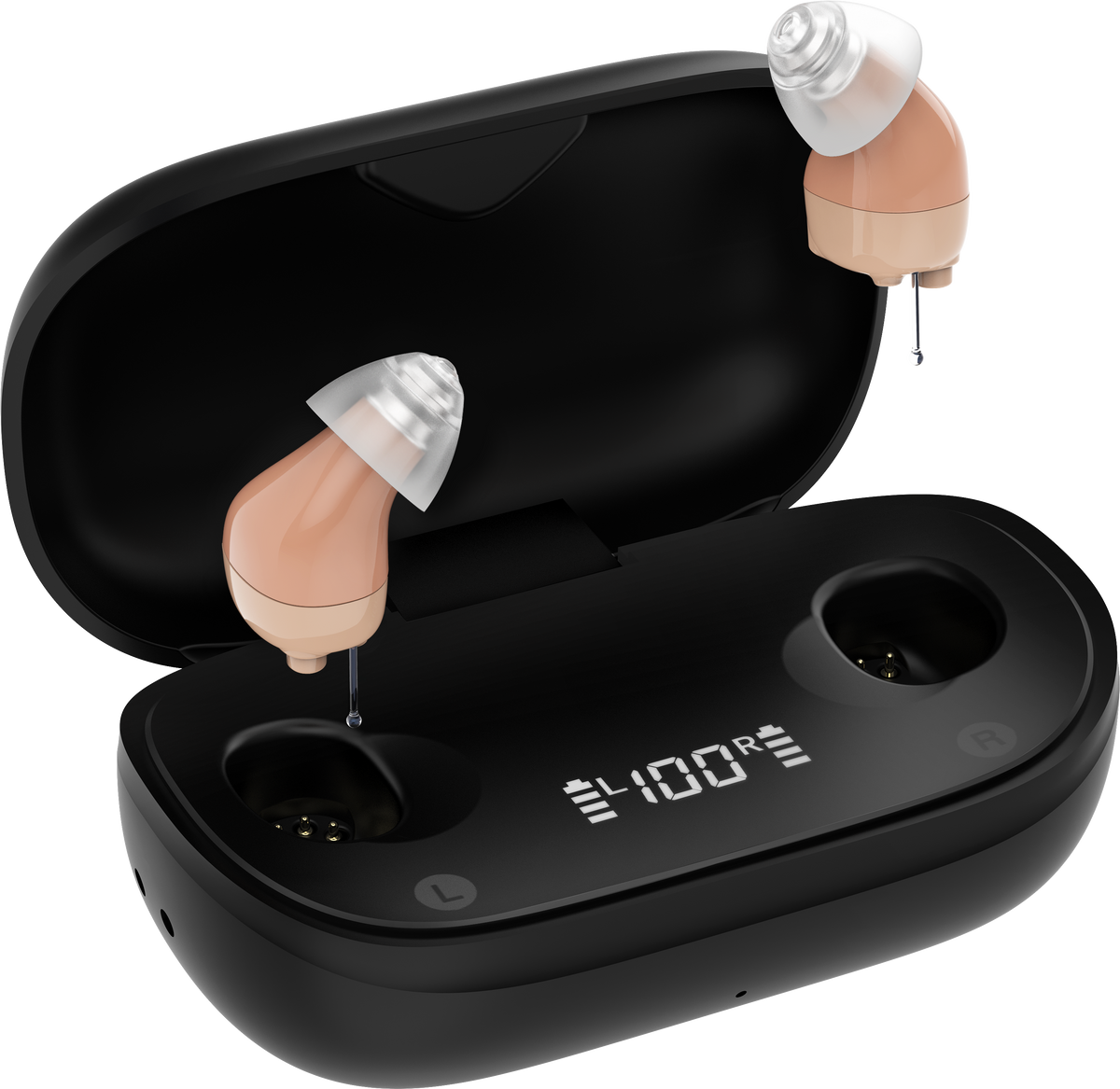 TM6120 Hearing Aids