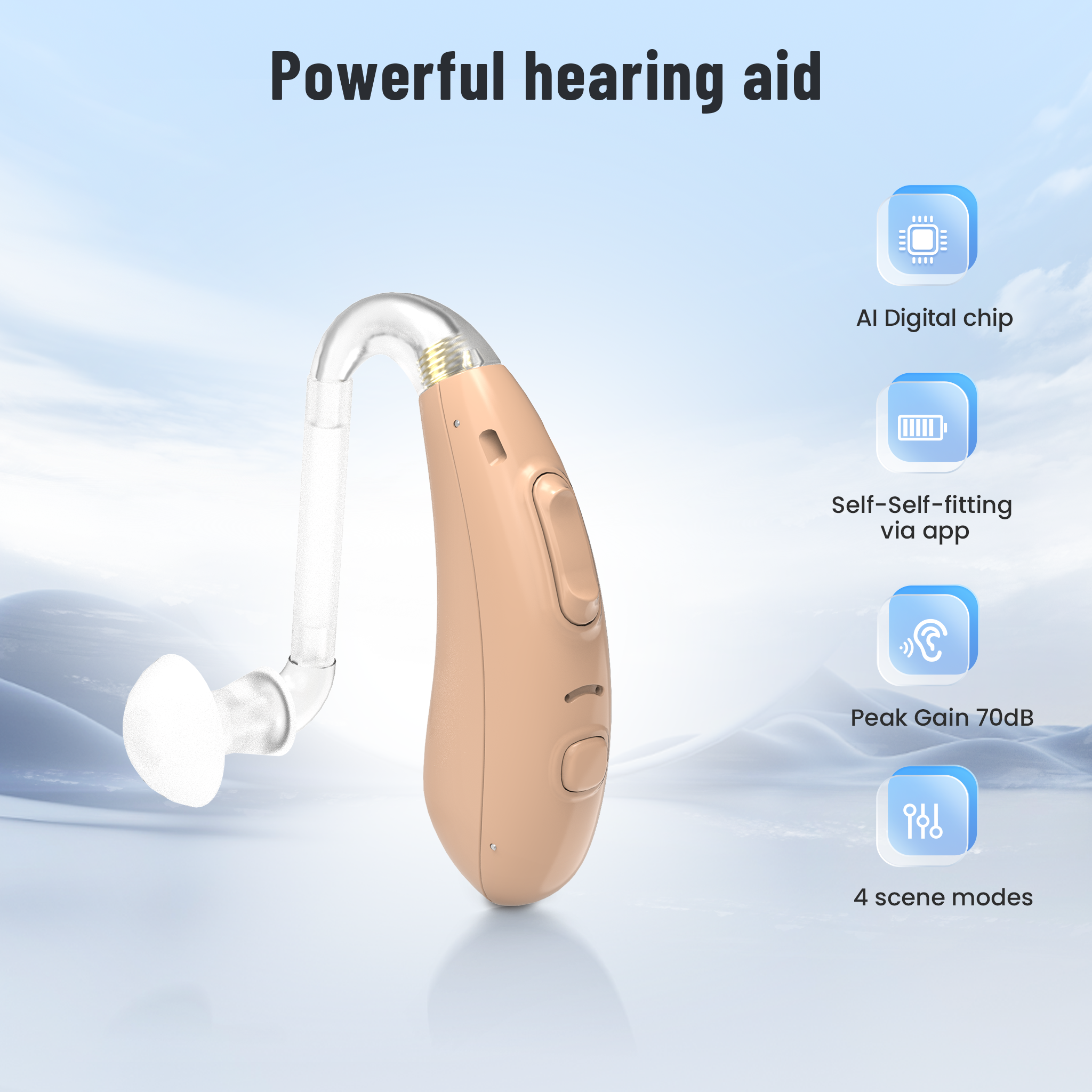 TM5007 Hearing Aid