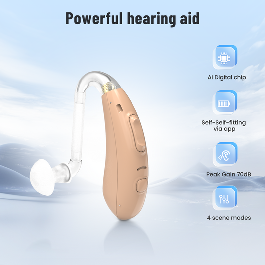 TM5007 Hearing Aid