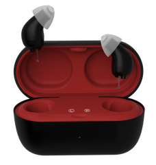 TM6116 Hearing Aids