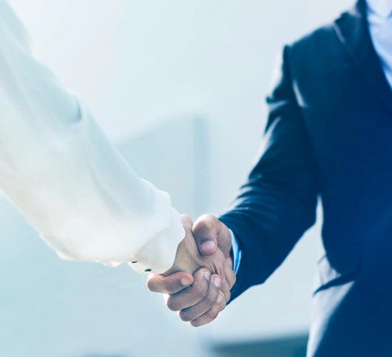 Two people shaking hands with a blurred background