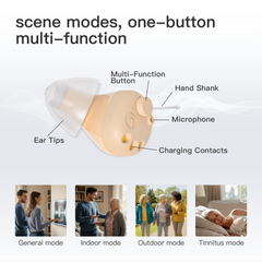 TM6116 Hearing Aids