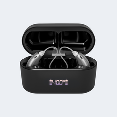 TM5118L Hearing Aids