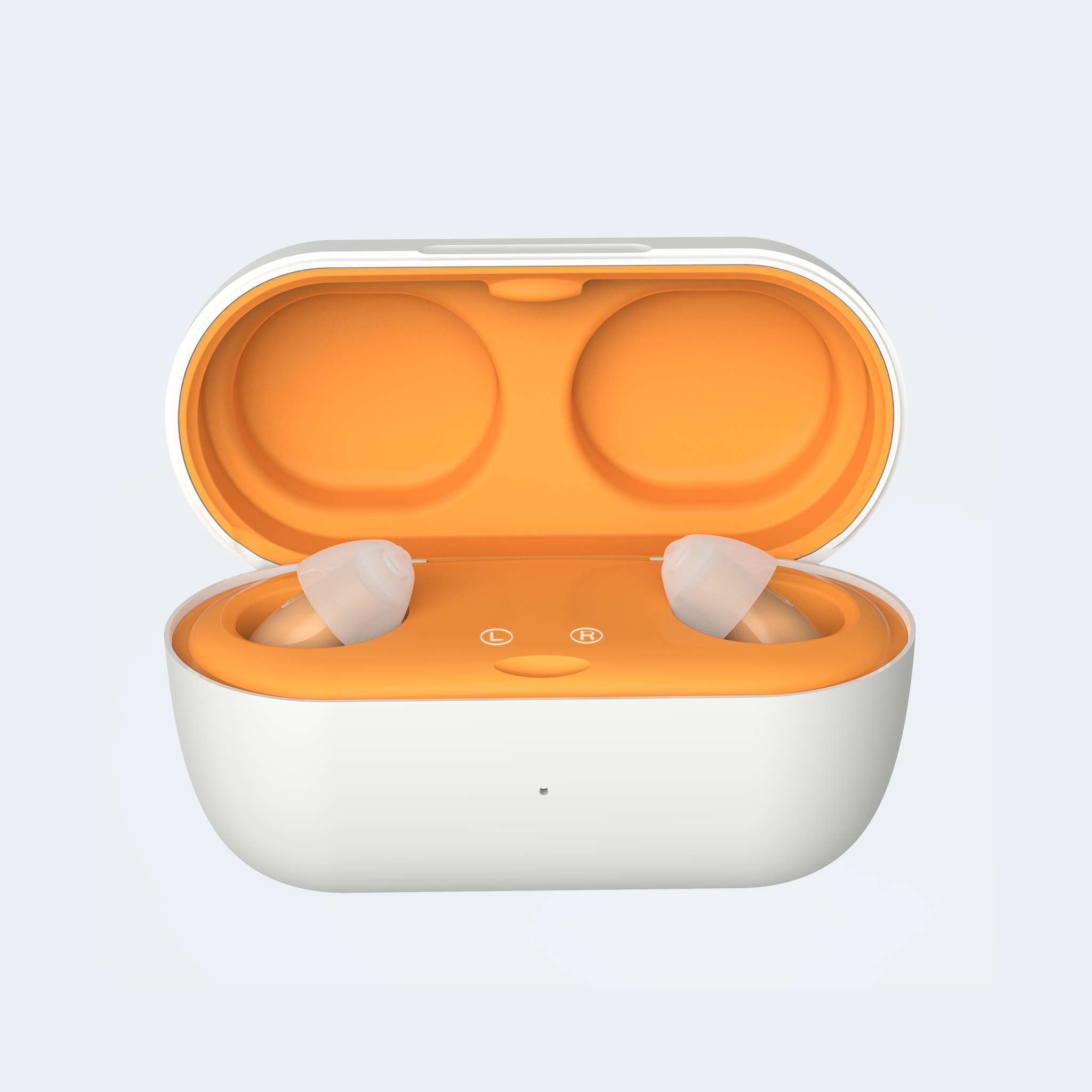TM6116 Hearing Aids